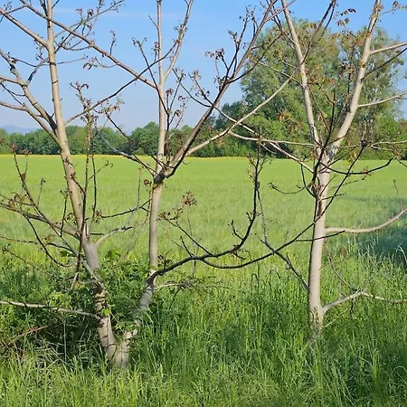 Close To Frankfurt - Thechicandcosy - 125qm * Muehlheim am Main
